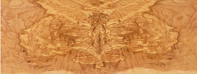 SPA167: Olive Ash Burl